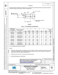 SAE AS3124B-2024