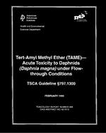 API TR 406 PDF