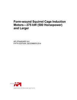 API Std 541 (R2021) PDF