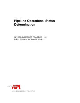 API RP 1181 PDF