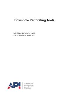 API SPEC 19PT PDF