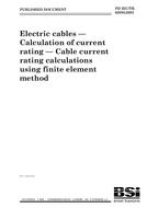 BS PD IEC/TR 62095 PDF