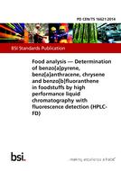 BS PD CEN/TS 16621 PDF