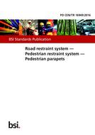 BS PD CEN/TR 16949 PDF