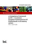 BS PD CEN/TR 16234-2:2016 PDF