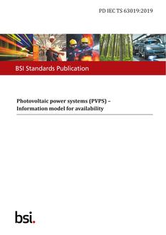 BS PD IEC TS 63019 PDF