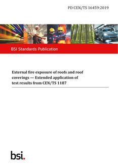 BS PD CEN/TS 16459 PDF