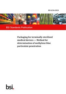 BS 6256 PDF