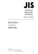 JIS R 6256 PDF