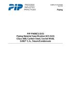 PIP PN06CS1S01 PDF