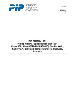 PIP PN09NY1S01 PDF