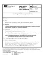 SAE AMS3807B PDF