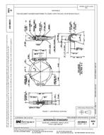 SAE AS1895/4D PDF