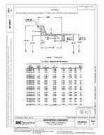 SAE AS1895/6C PDF