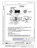 SAE AS3080 PDF