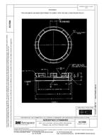 SAE AS3566 PDF