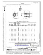 SAE AS3572 PDF