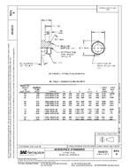 SAE AS4213A PDF