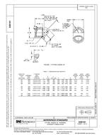 SAE AS5191 PDF