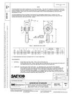 SAE AS21223A PDF