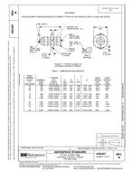 SAE AS4307B PDF