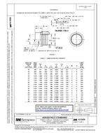 SAE AS5838 PDF