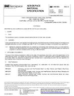 SAE AMS5903B PDF