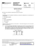 SAE AMS2819B PDF