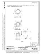 SAE AS27198A PDF