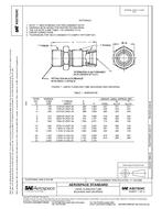 SAE AS21924C PDF