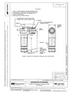 SAE AS21925C PDF