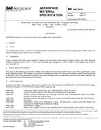 SAE AMS5891B PDF