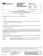 SAE AMS7490Q PDF