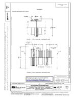 SAE AS1731C PDF