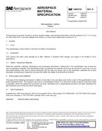 SAE AMS3753B PDF