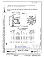 SAE AS21913D PDF