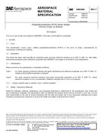 SAE AMS3669F PDF