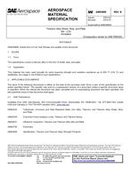 SAE AMS4989B PDF