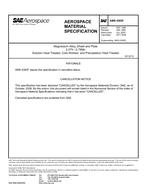 SAE AMS4383F PDF