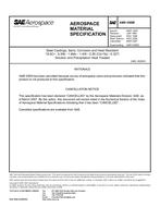 SAE AMS5369E PDF