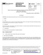 SAE AMS5569B PDF