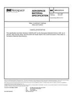 SAE AMSS22141A PDF