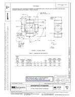 SAE AS100B PDF