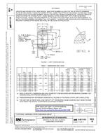 SAE AS21155B PDF