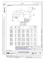 SAE AS3332B PDF