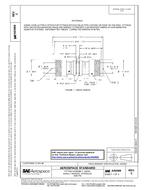 SAE AS5969C PDF