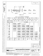 SAE AS123751B PDF