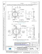 SAE AS27198B PDF