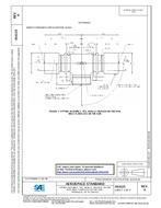 SAE AS6123A PDF