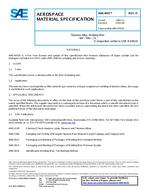 SAE AMS4955H PDF